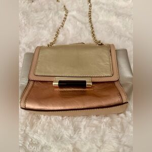 Diane Von Furstenberg Gold and Silver Crossbody Bag